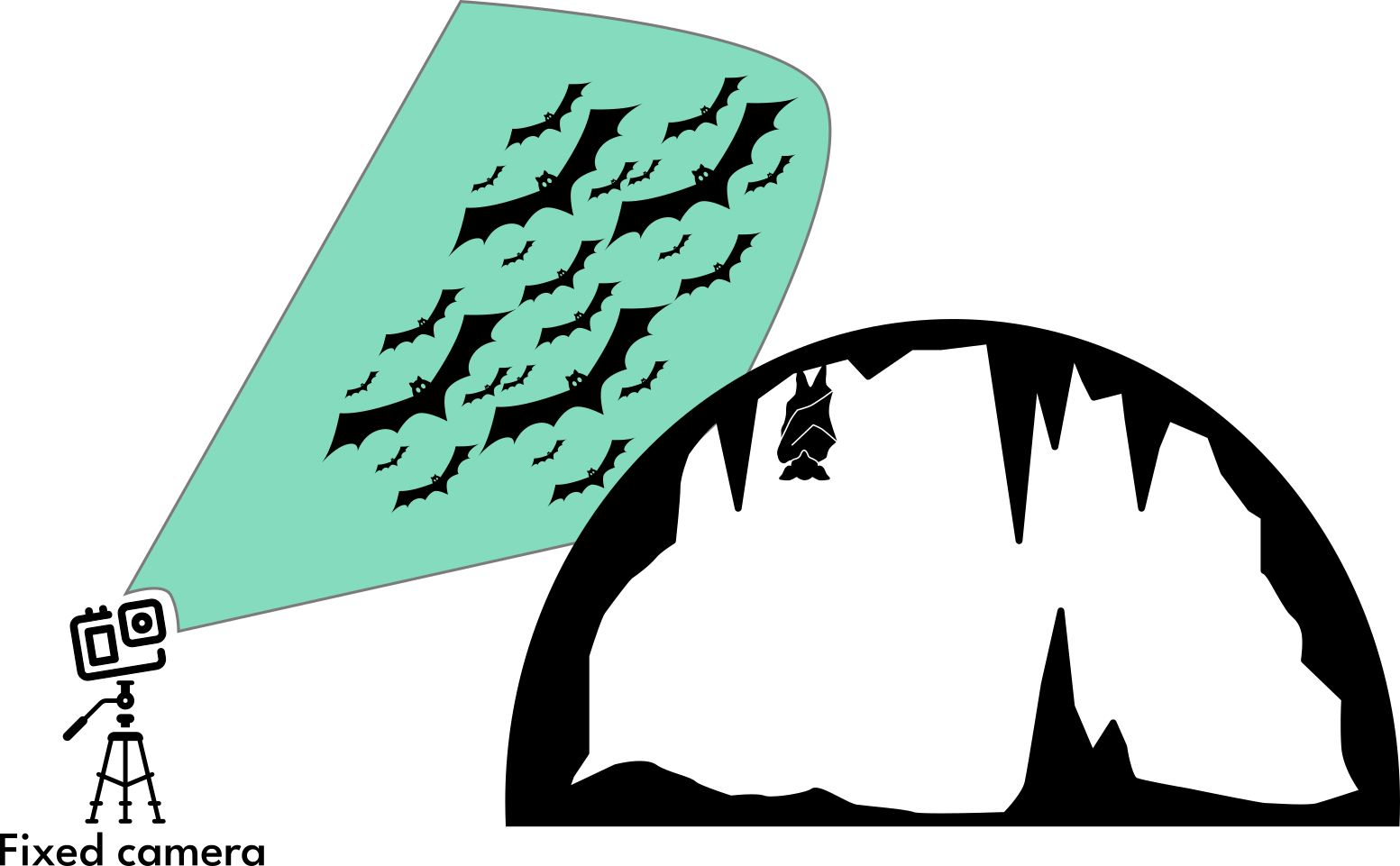 Camera Setup Diagram
